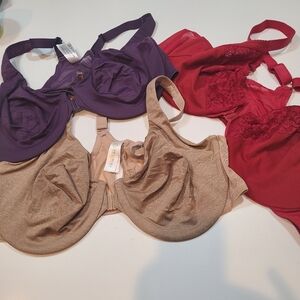 Delimira Lot of Three Bras in Size 48C